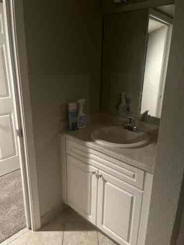Looking for a roommate