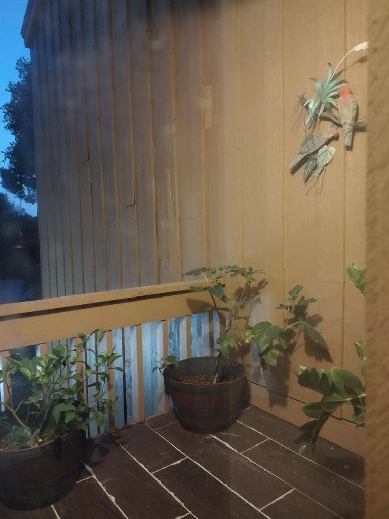 Professional Woman Seeks Housemate