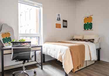 Looking for Dinkytown Apt. Sublet