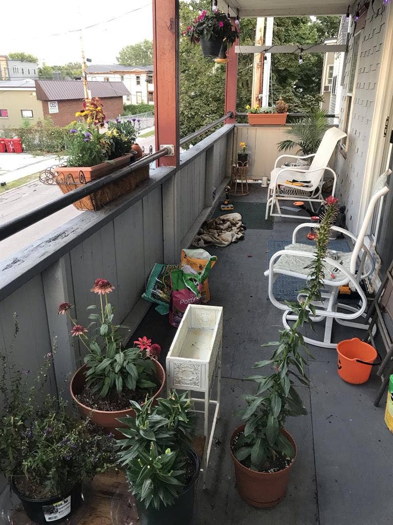 Roommate needed in 2 bedroom Apt.