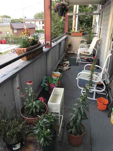 Roommate needed in 2 bedroom Apt.