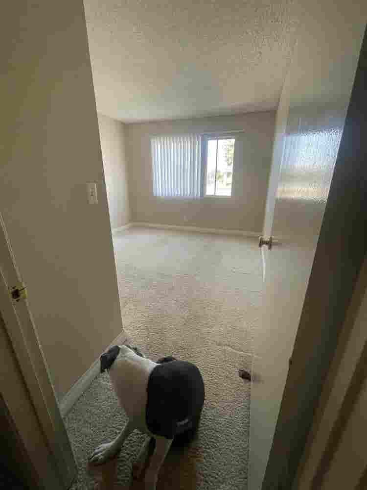 Private Room, Private Bath! SEPT 1!