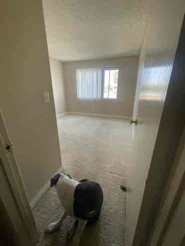 Private Room, Private Bath! SEPT 1!
