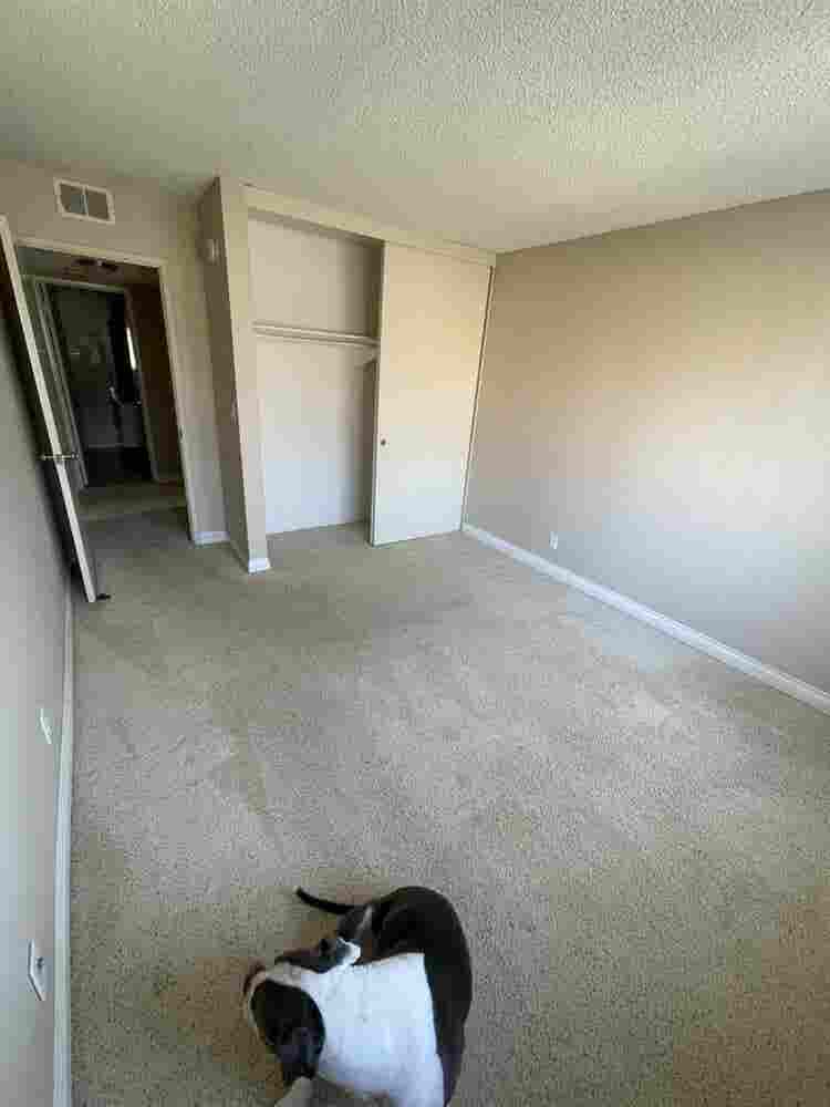 Private Room, Private Bath! SEPT 1!