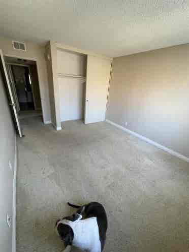 Private Room, Private Bath! SEPT 1!