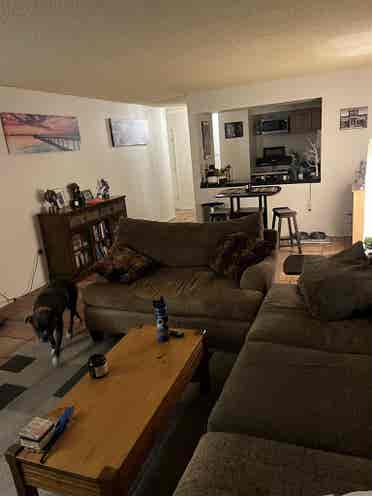 Downtown highrise living!