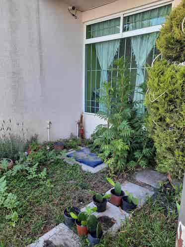 Habitaciones en Renta- Tres Cruces