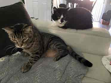 Medium Room in Orlando/Winter Park