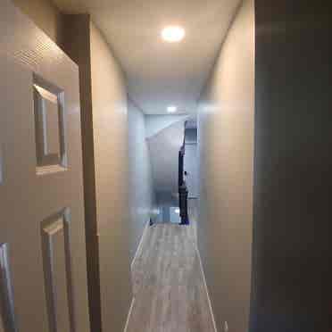 Renting newly renovated rooms.
