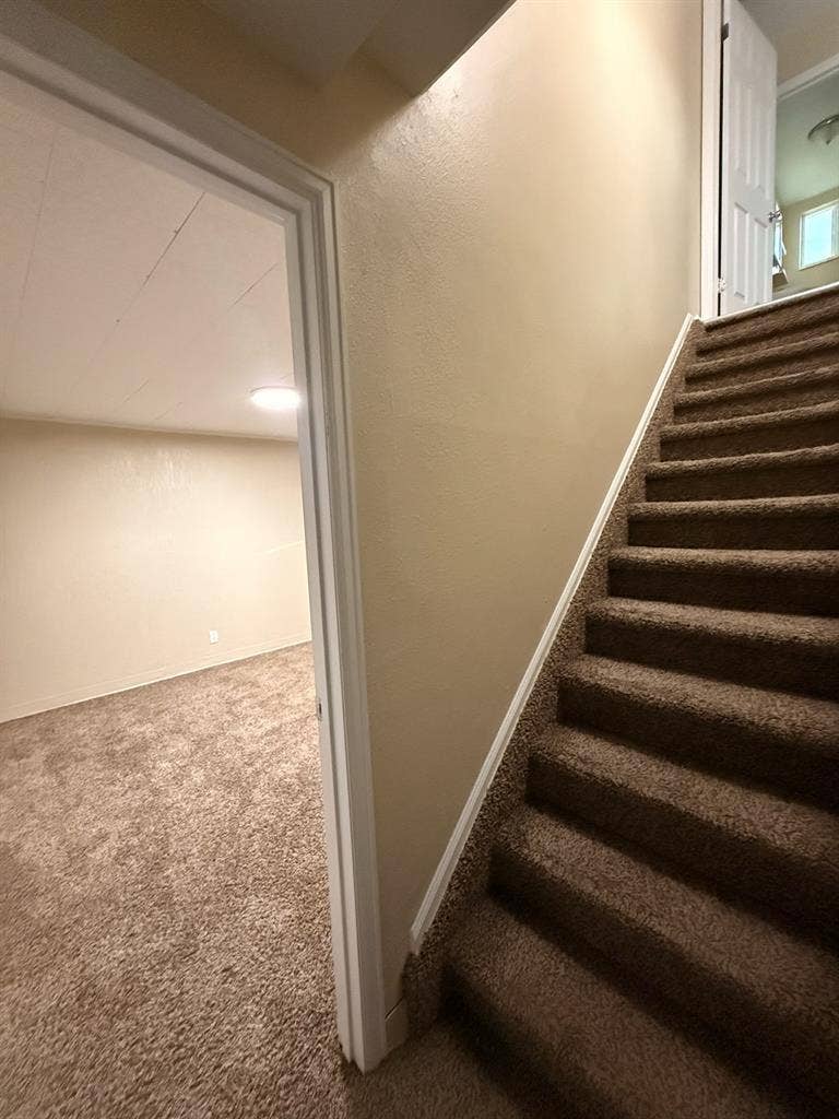 Looking for Roommates!