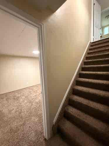 Looking for Roommates!