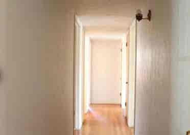 Great for 4 friends, near  Bush