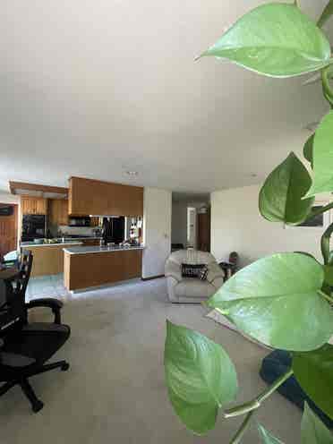 Chill Room (four twenty friendly)