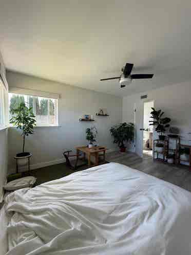 Master Room in Modern Home by SDSU