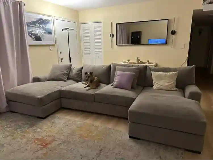 Chill professional and dog