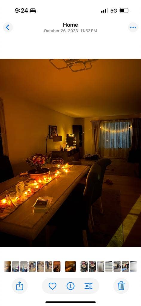 Chill professional and dog