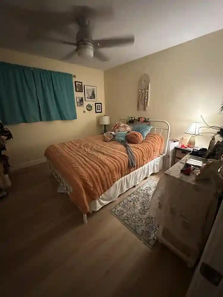 Chill professional and dog