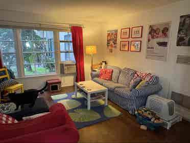 Fully Furnished Room Available