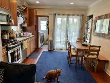 Room for Rent in Shared House
