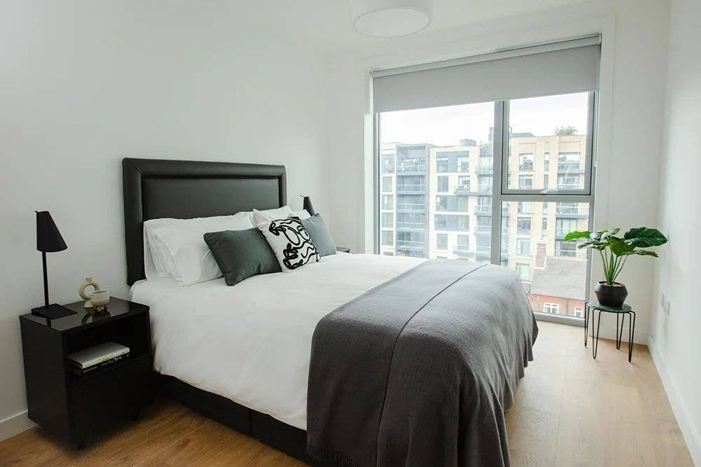 Entire Apartment in Dublin 2