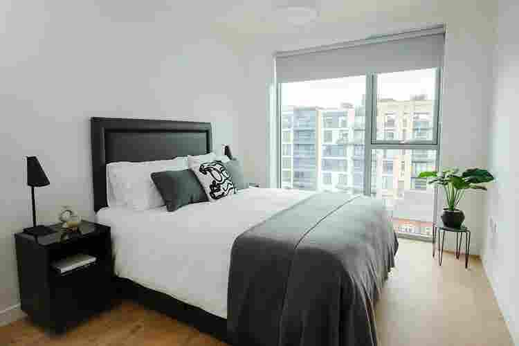 Entire Apartment in Dublin 2