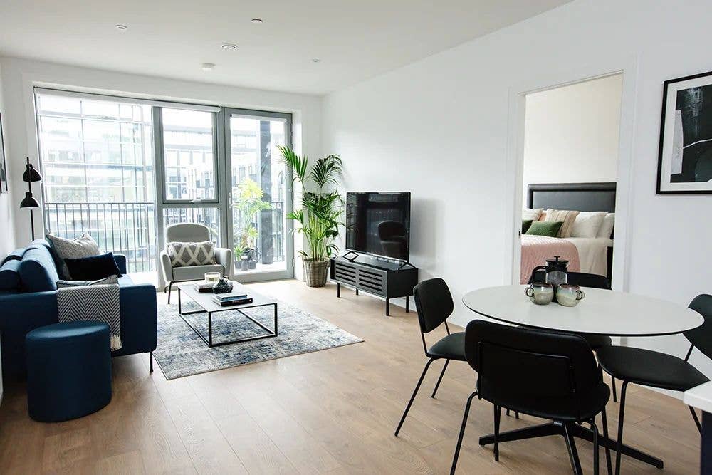 Entire Apartment in Dublin 2