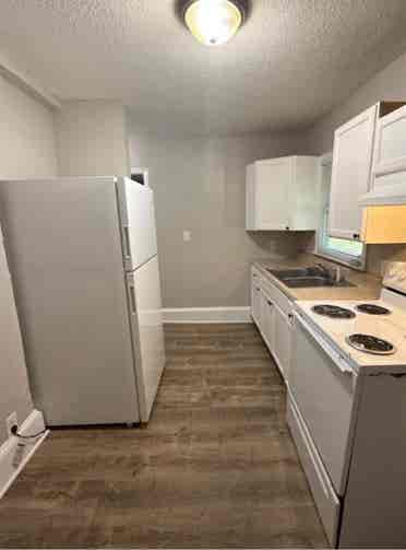 beautiful house for rent