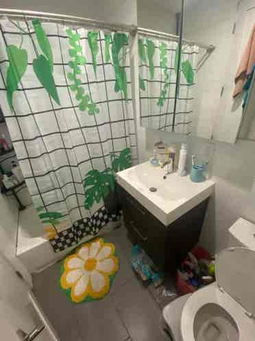 ISO roommate aug 1 move in (no men)