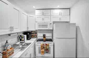 fully furnished condo
