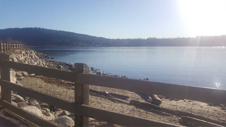 AVAILABLE NOW! Waterfront view!