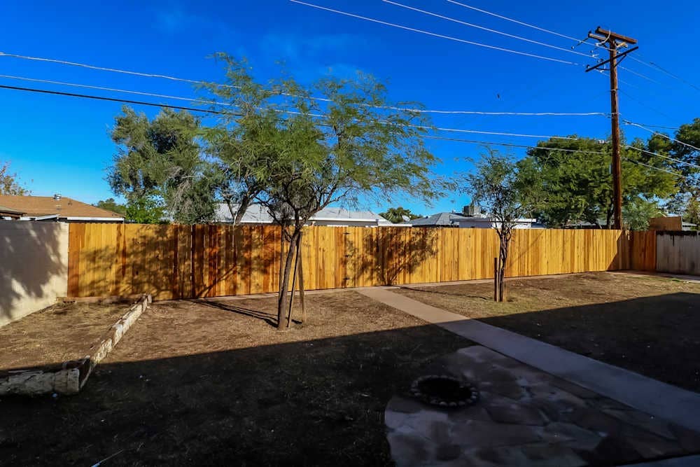 Spacious, Pet-Friendly Living