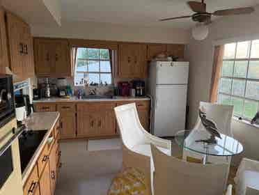 Room For Rent -