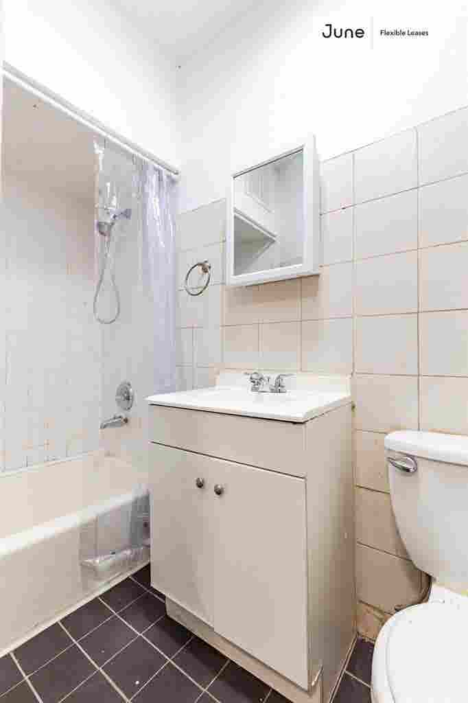 1 BR in New York City