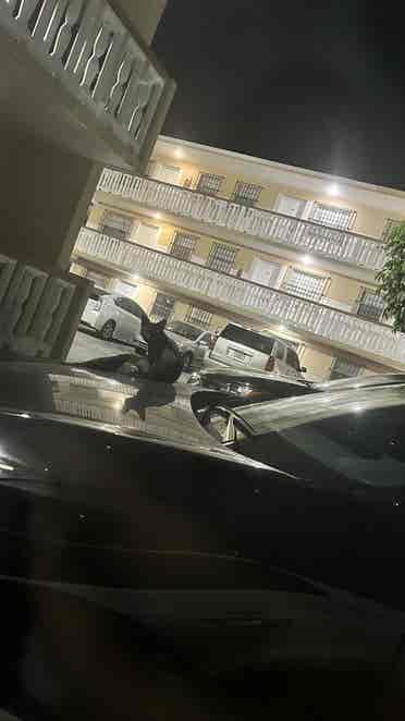 Room for Rent – North Miami Beach
