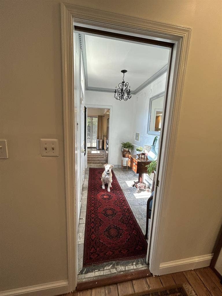 2 roommates / $ / Pigtown