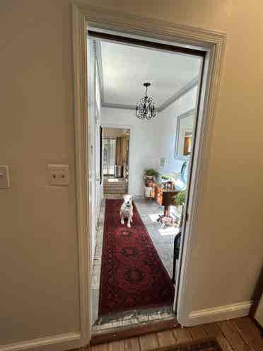 2 roommates / $ / Pigtown