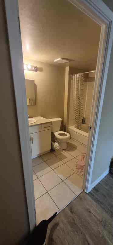 Looking for a roommate  ( male )