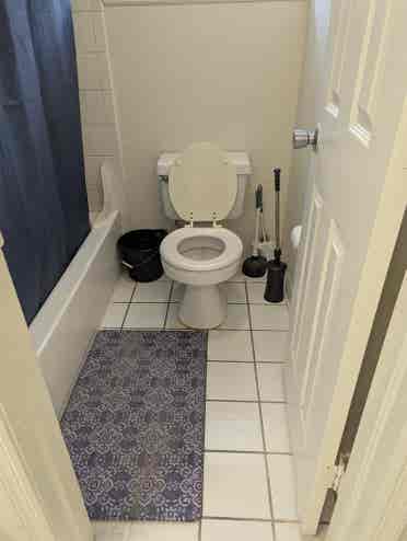 Perfect spot for UCF students