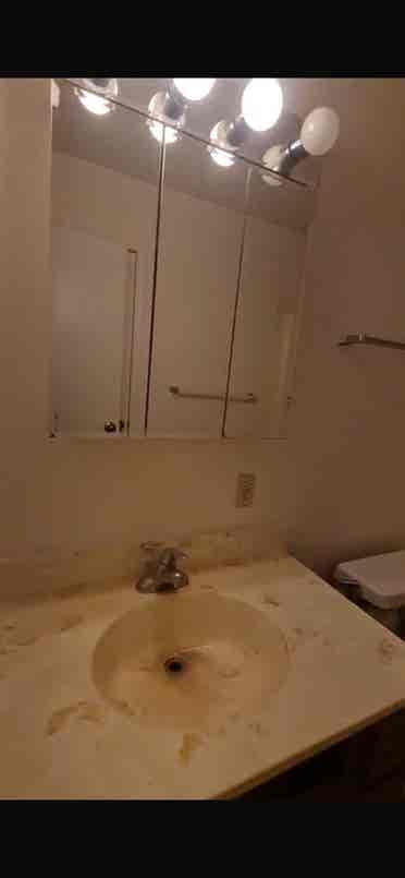 Room available from Aug