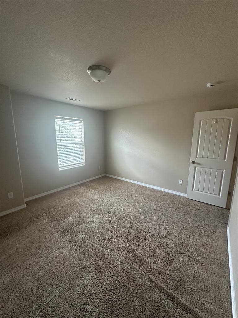 Available in September