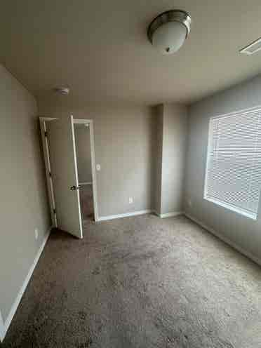 Looking for Roommates