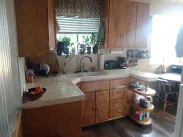 Room / Basement In-Law 