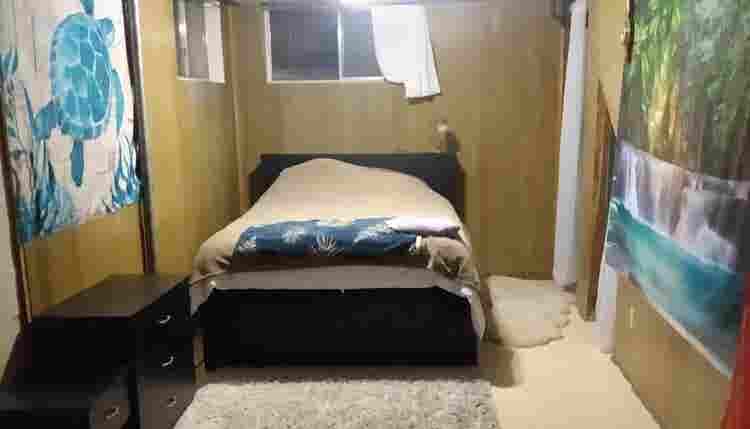 Room / Basement In-Law