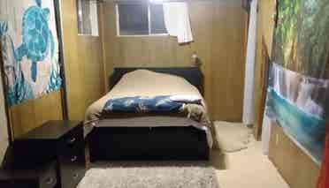 Room / Basement In-Law 