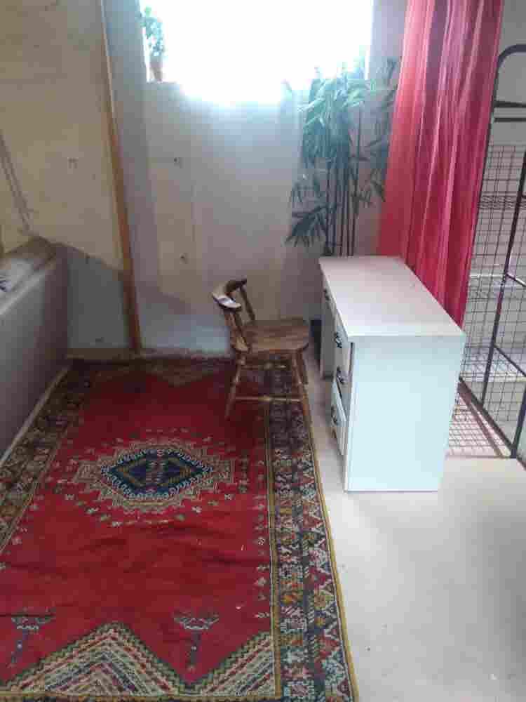 Room / Basement In-Law