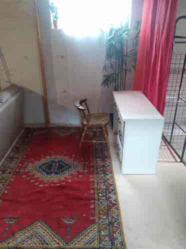 Room / Basement In-Law 