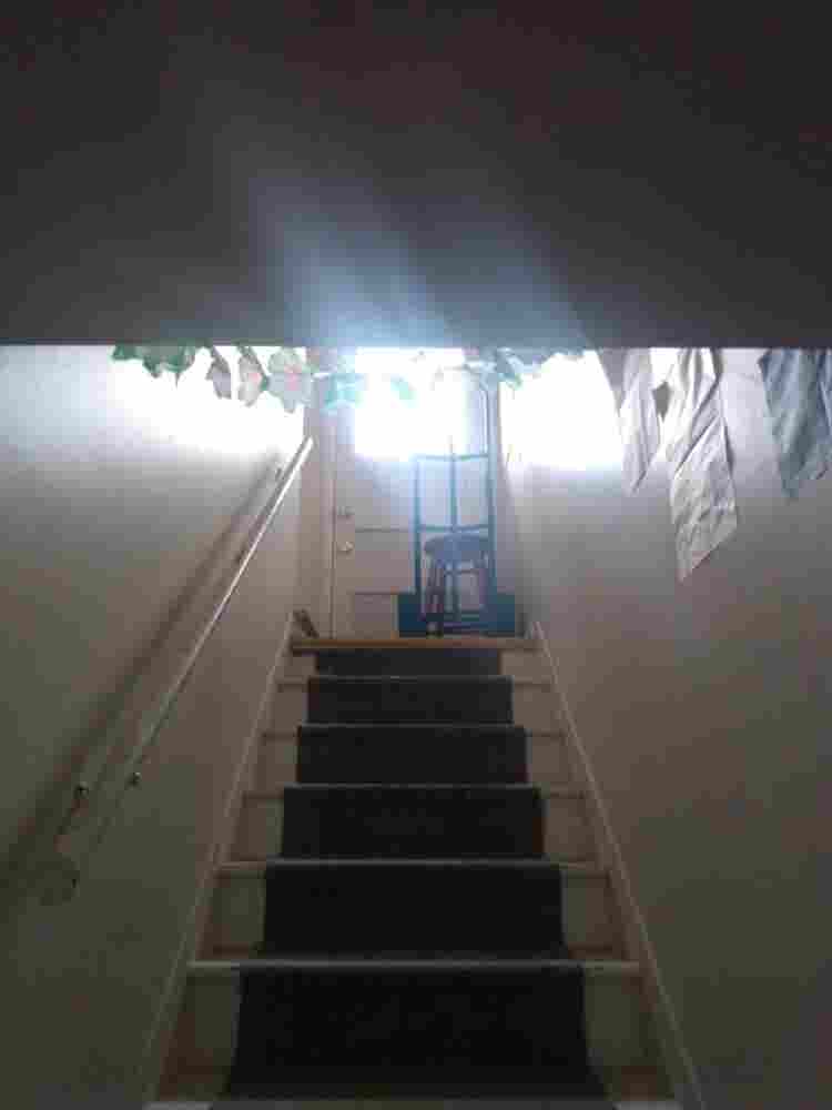 Room / Basement In-Law