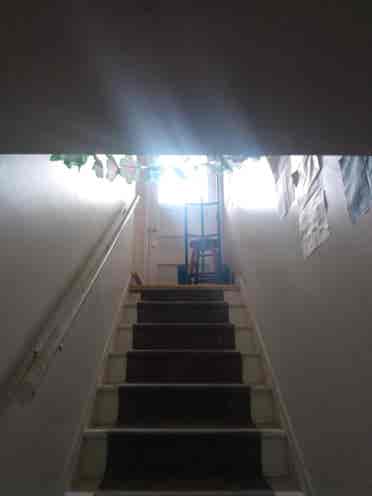 Room / Basement In-Law 