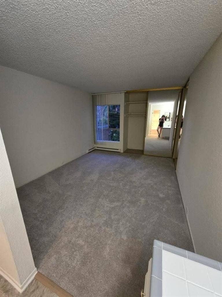 Female roomate needed