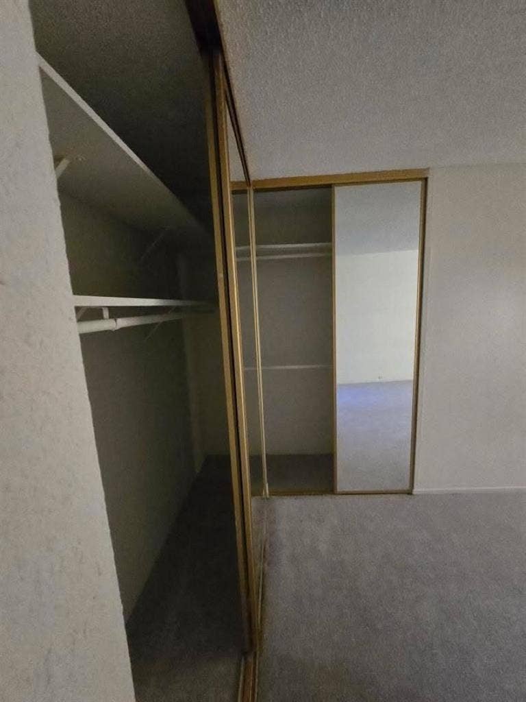 Female roomate needed